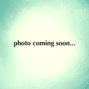 Solar Team, Photo coming soon