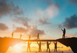 We build trust - Sol Luna Solar