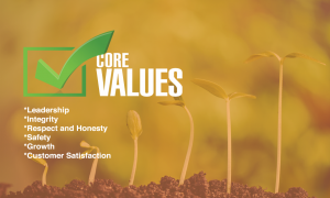 Core Values, Sol Luna Solar