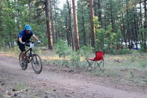 24 hours in the enchanted forest