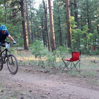 24 hours in the enchanted forest
